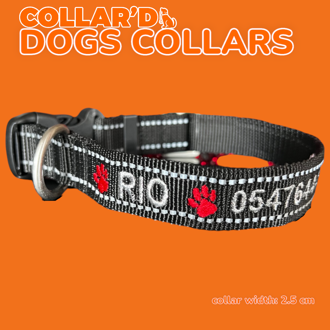 DOGS COLLARS WITH REFLECTIVE BORDERS