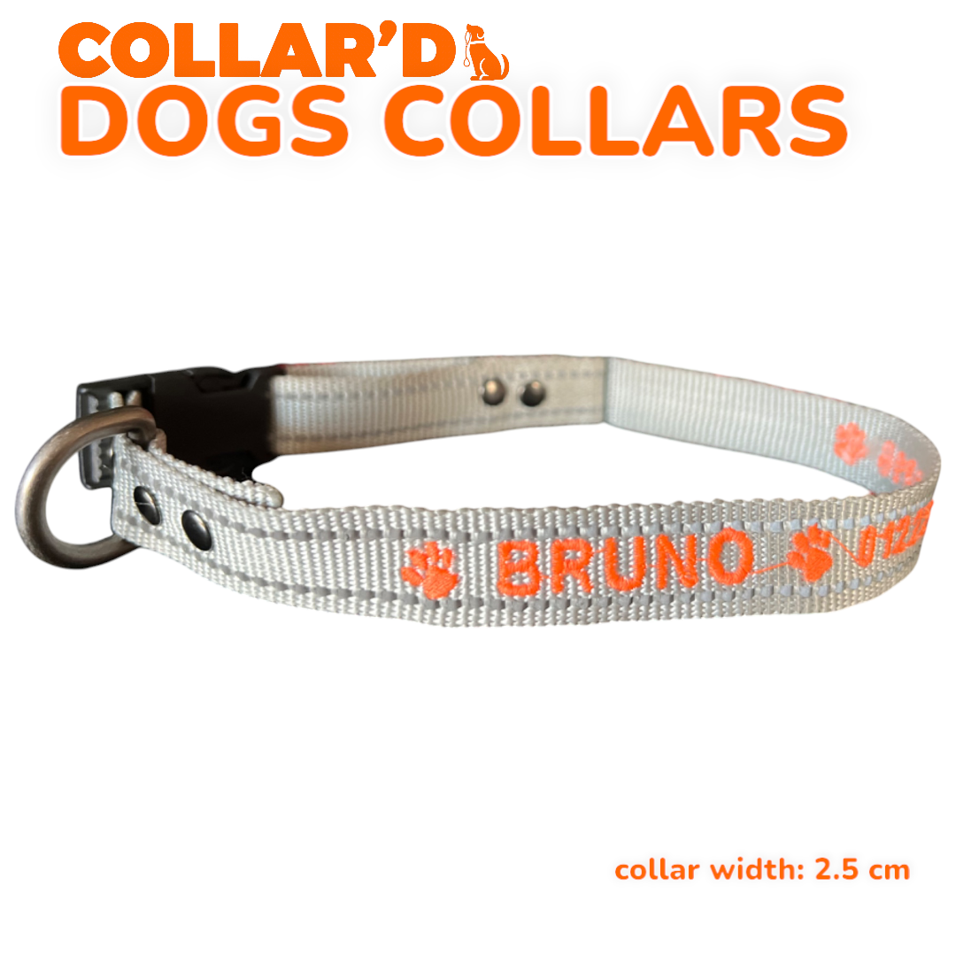 DOGS COLLARS WITH REFLECTIVE BORDERS
