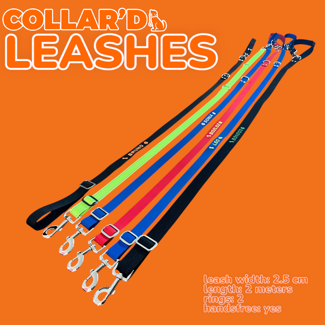 DOGS MULTIFUNCTIONAL HANDS-FREE LEASH