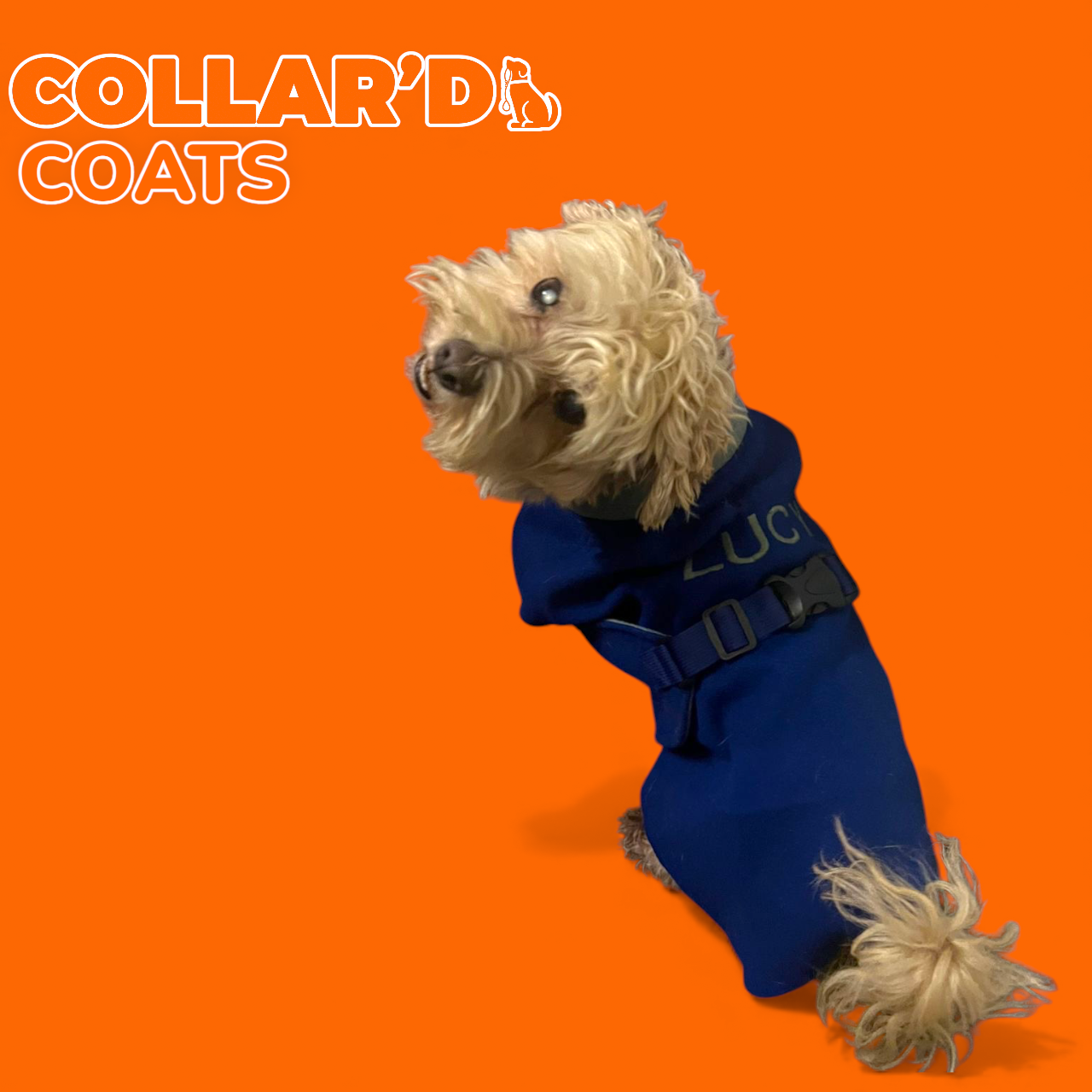 EMBROIDERED PERSONALIZED COATS