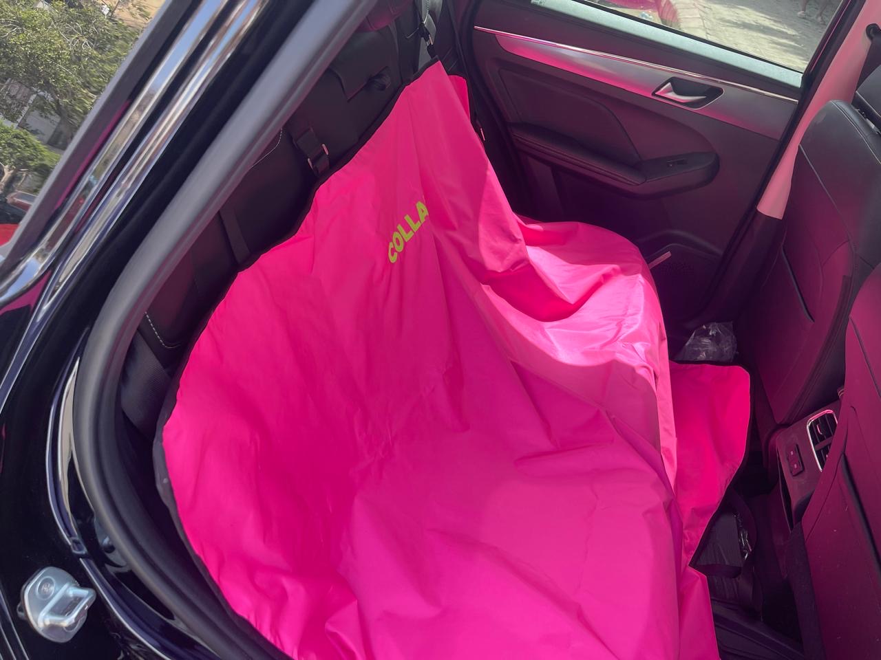Car Cover