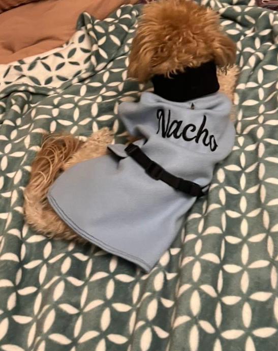 Dog Coats