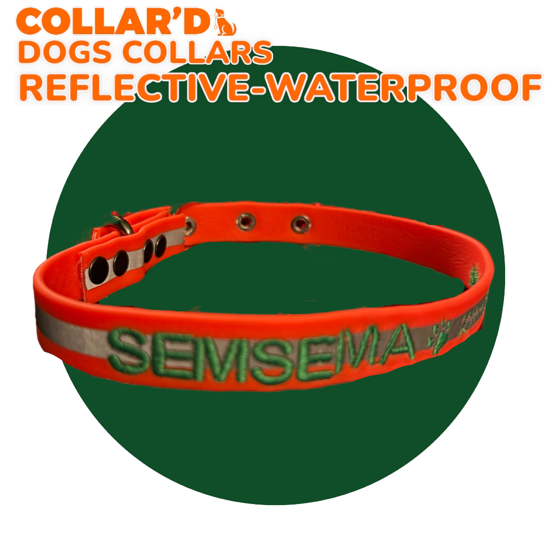 REFLECTIVE WATERPROOF COLLARS 1.5 CM WIDTH - XS TO SMALL DOGS