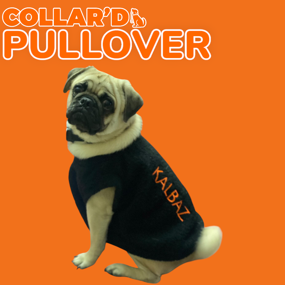 EMBROIDERED PERSONALIZED PULLOVERS