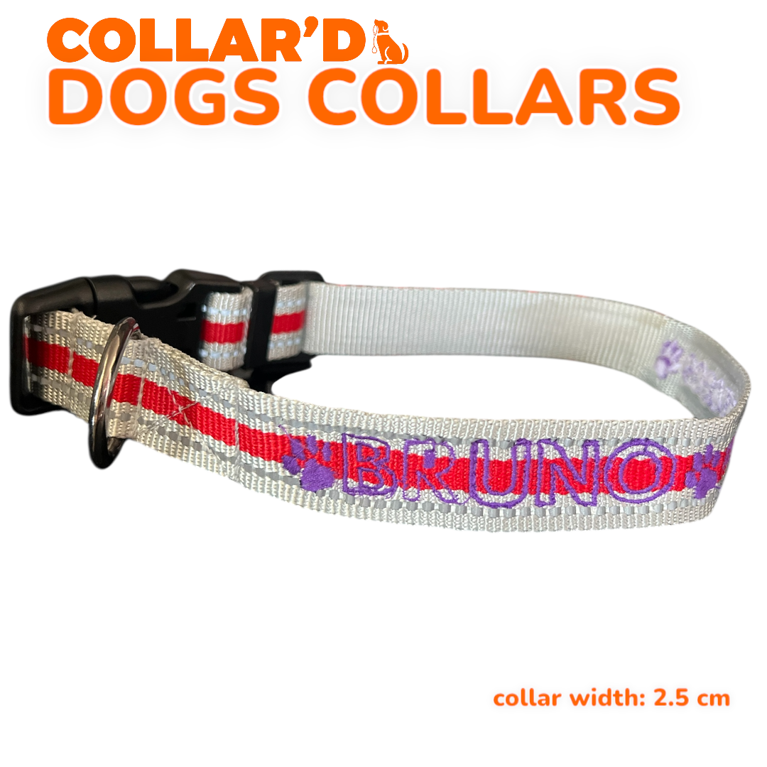 DOGS COLLARS WITH REFLECTIVE BORDERS