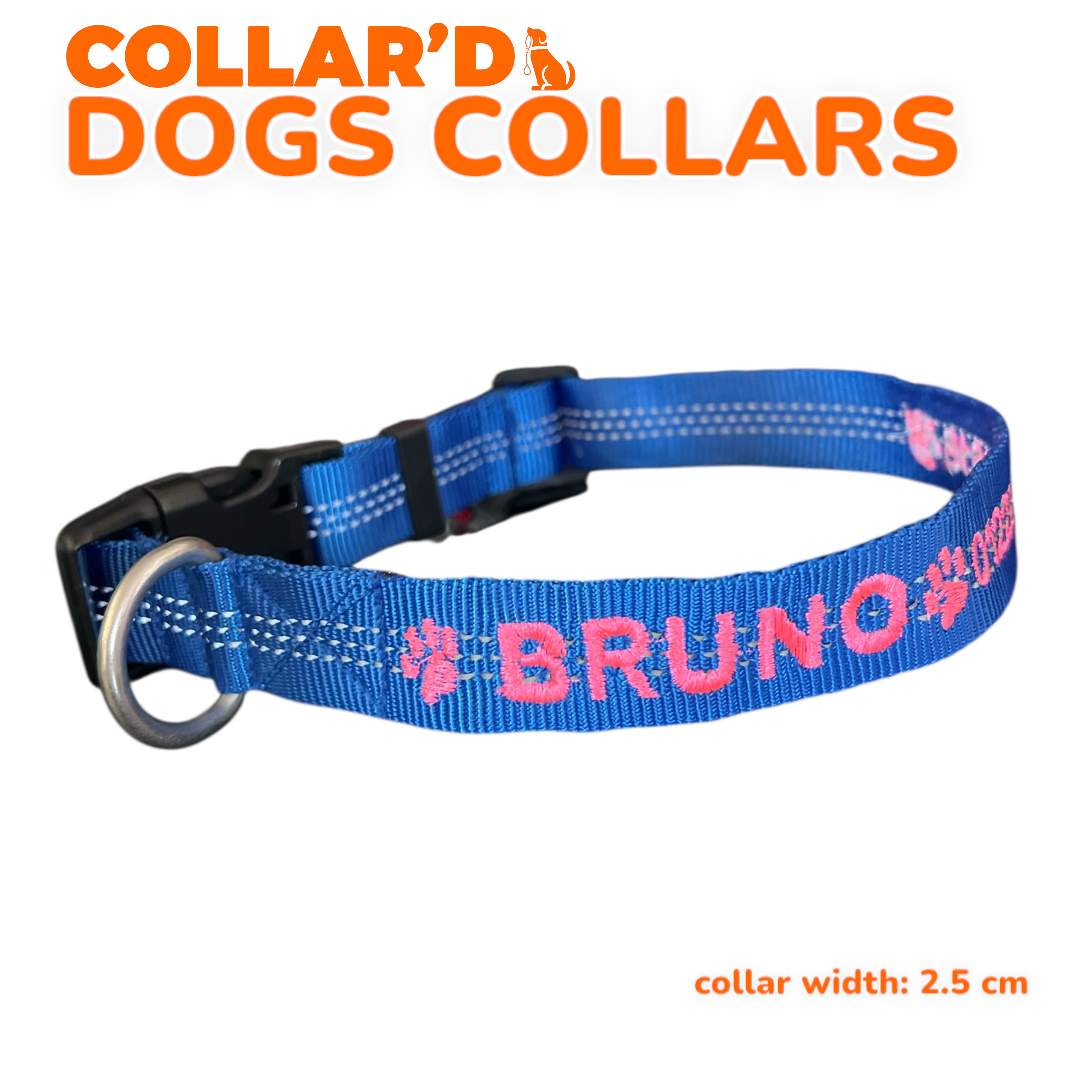 DOGS COLLARS WITH REFLECTIVE BORDERS