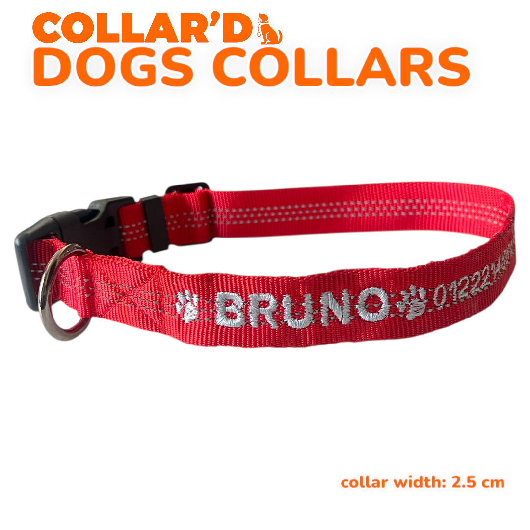 DOGS COLLARS WITH REFLECTIVE BORDERS