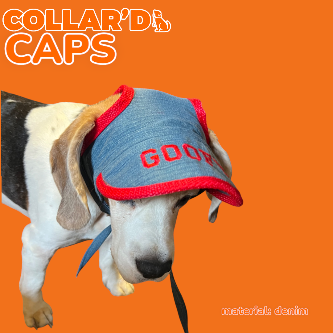 EMBROIDERED PERSONALIZED CAPS