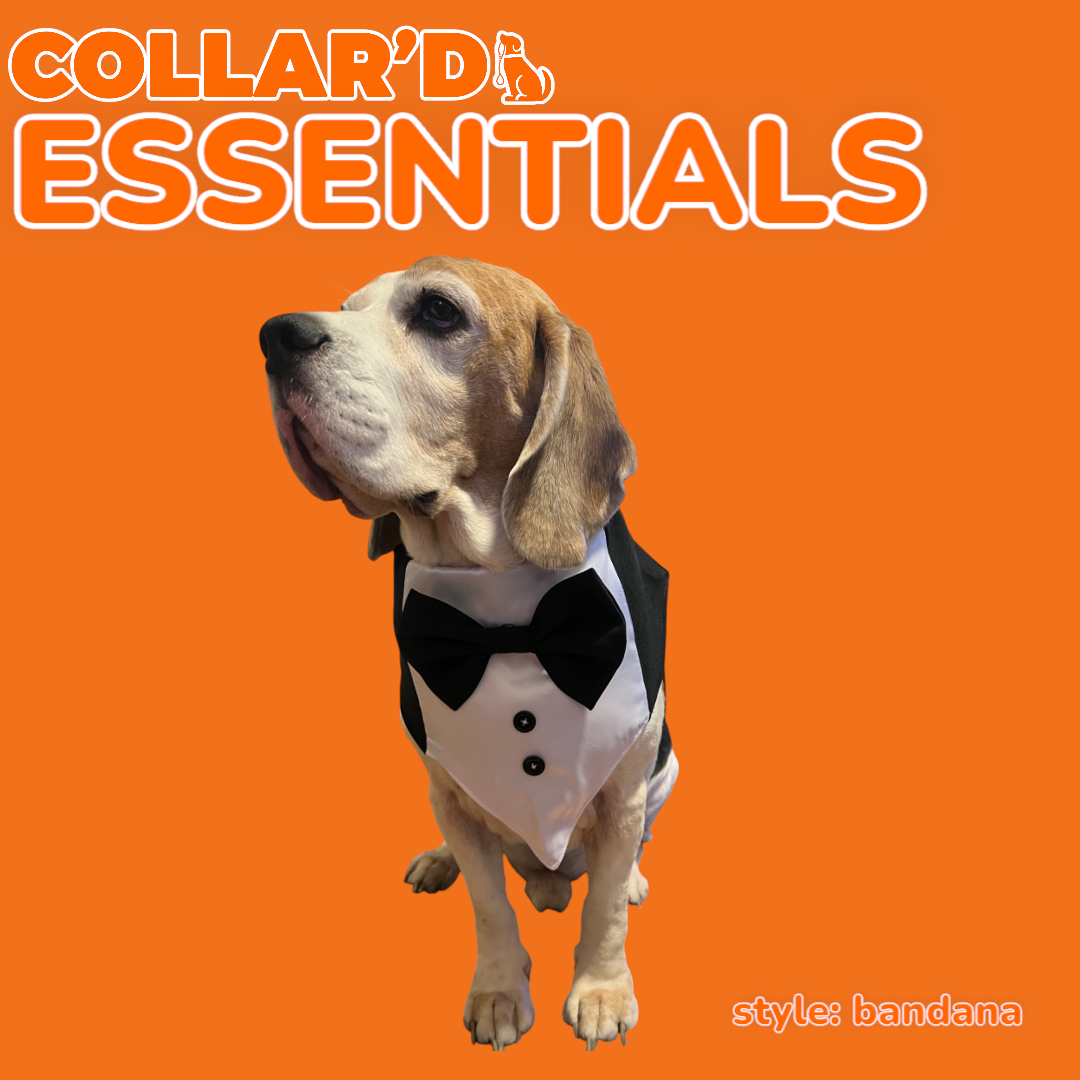 EMBROIDERED PERSONALIZED BANDANNAS