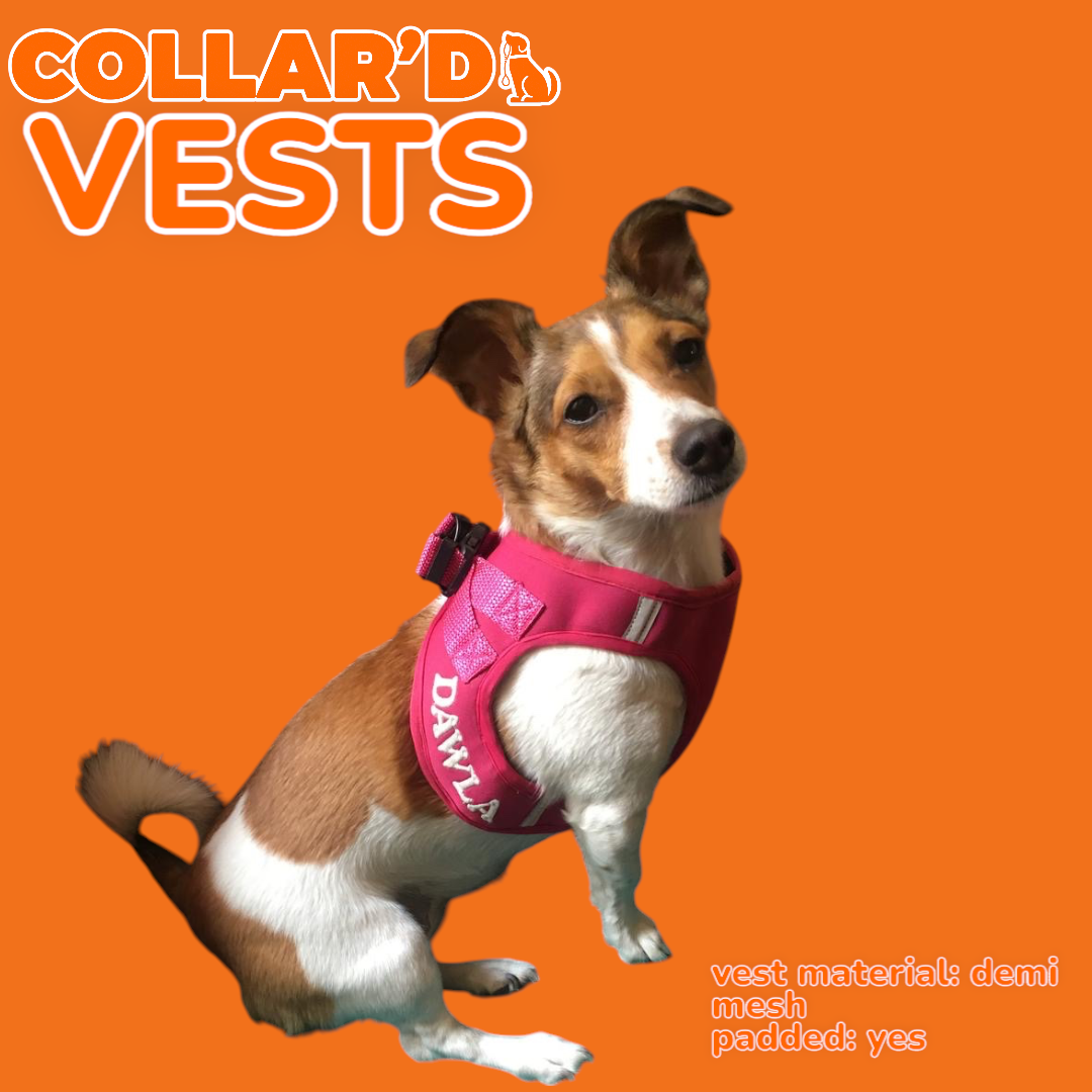 EMBROIDERED PERSONALIZED VESTS