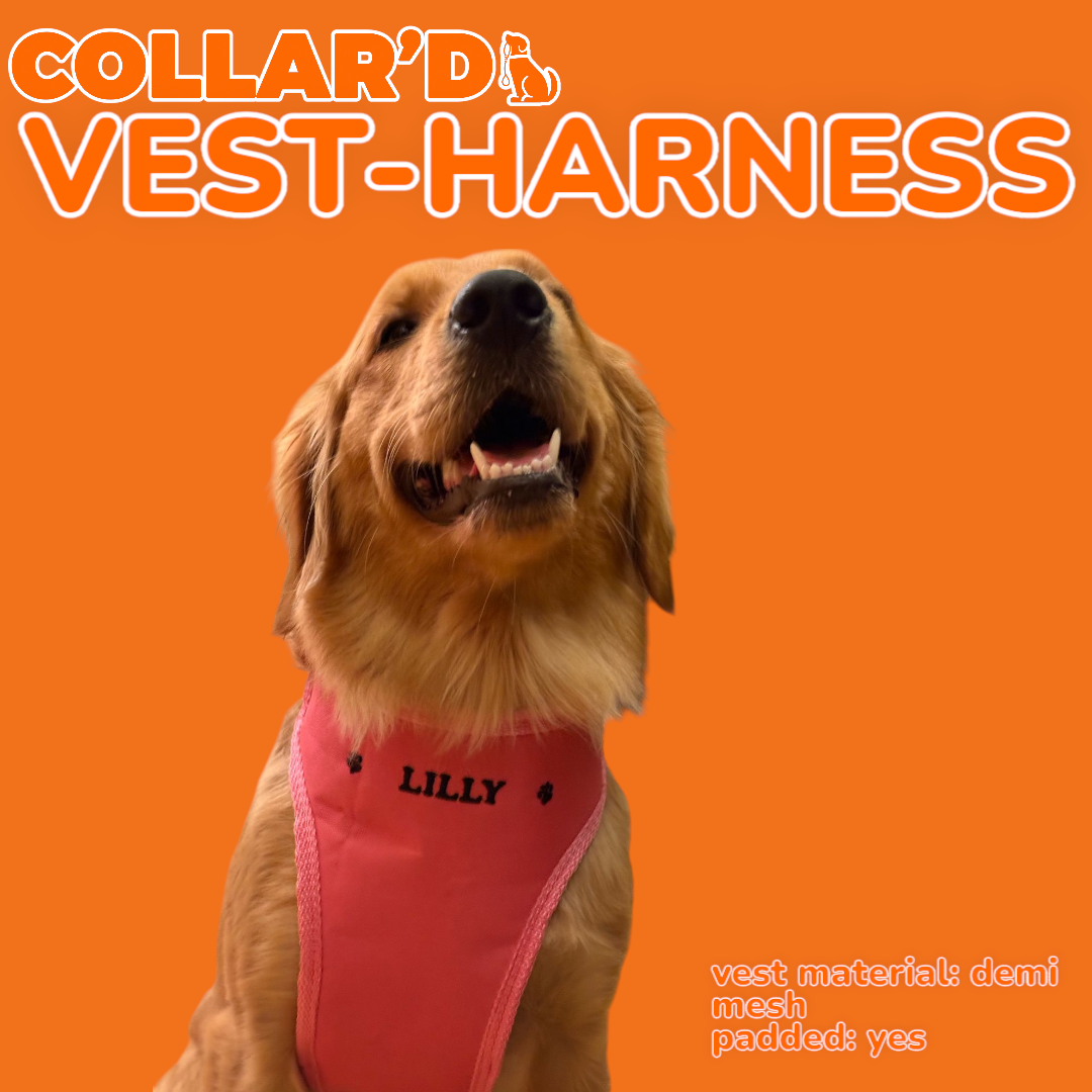 EMBROIDERED PERSONALIZED VEST-HARNESS