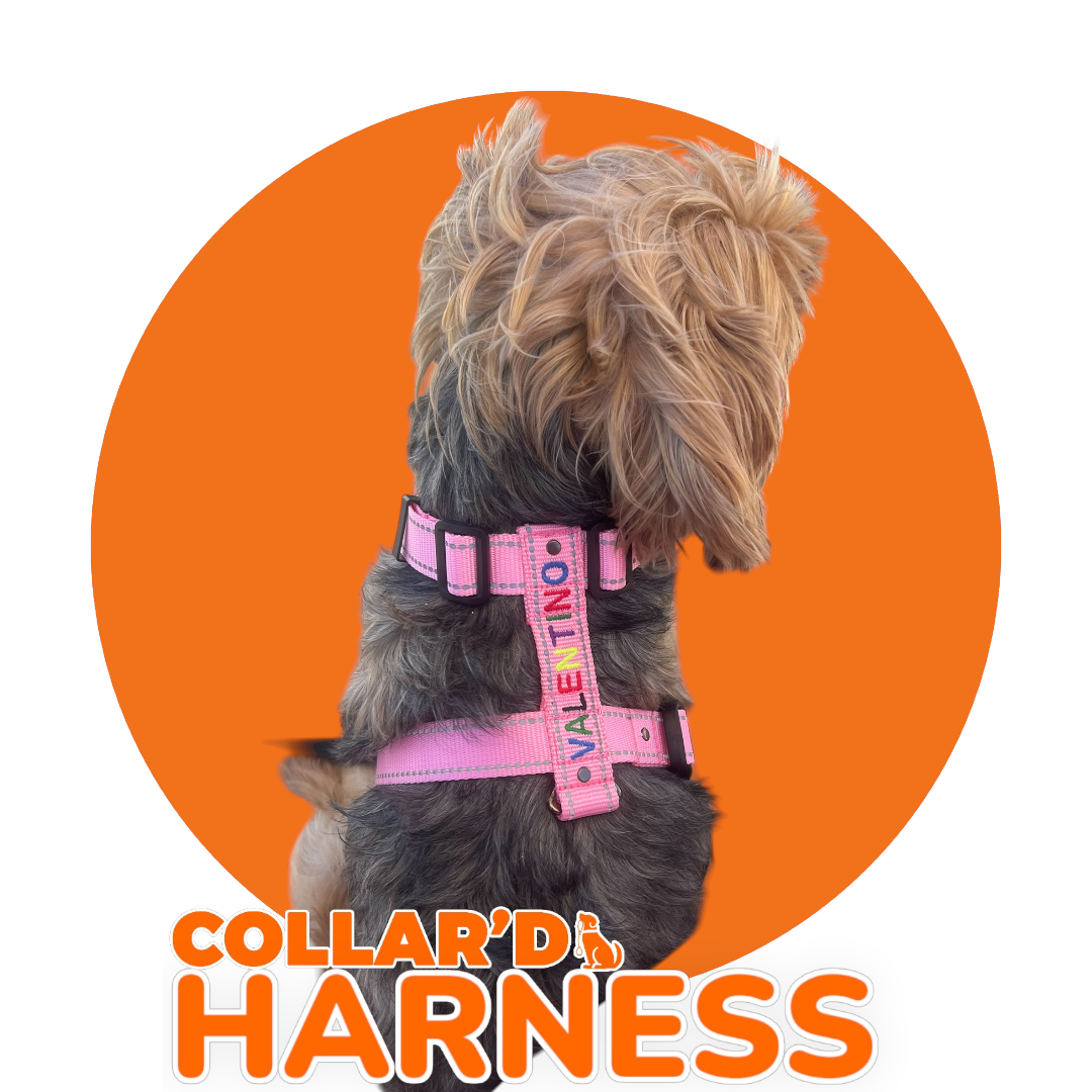 Harnesses