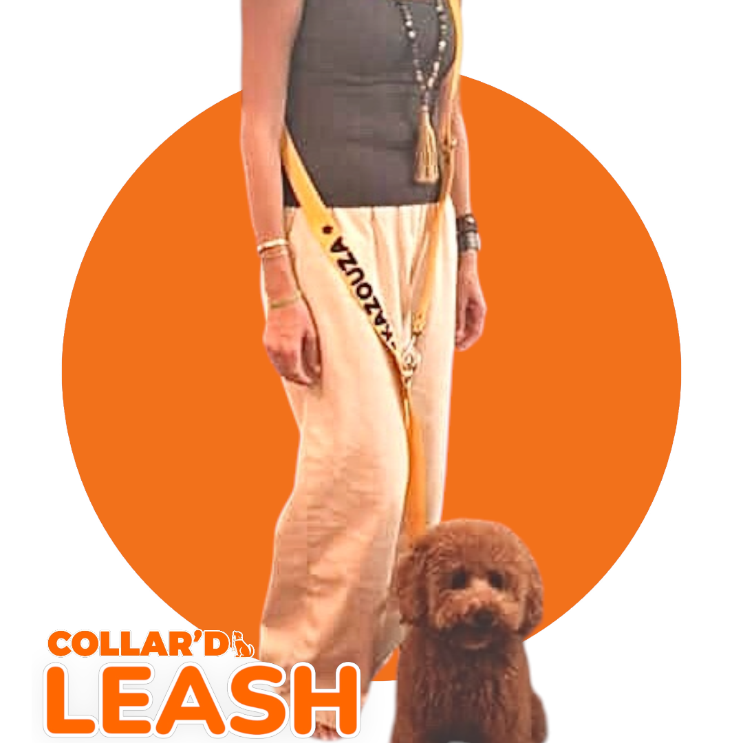 Leashes