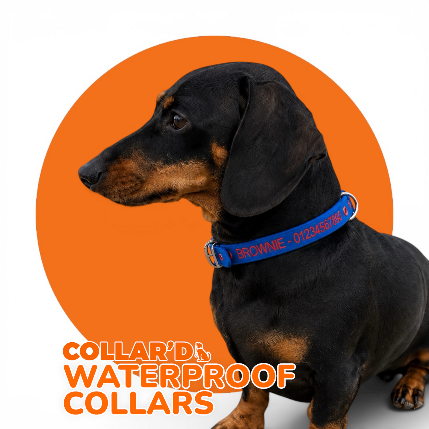 Waterproof Dog Collars