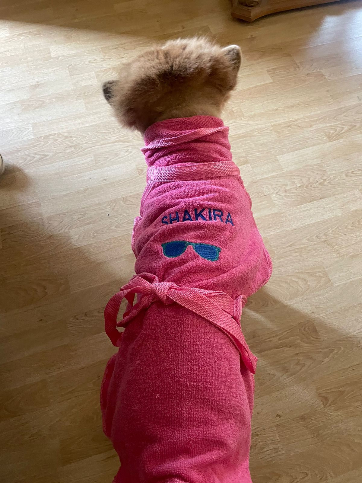 Dog Bornos
