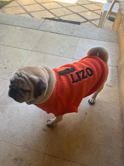 Dog Pullovers