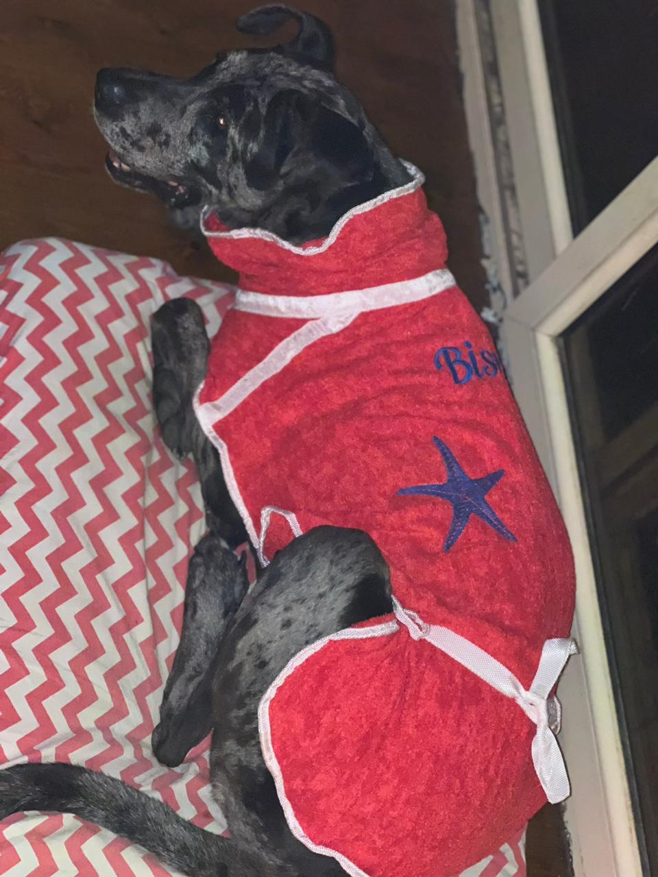 Dog Bornos