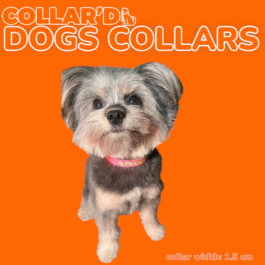 EMBROIDERED PERSONALIZED SMALL DOGS COLLARS - 1.5 CM WIDTH