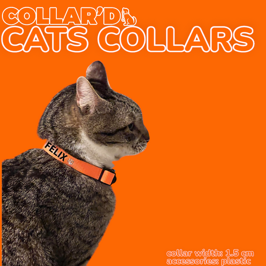 EMBROIDERED PERSONALIZED CATS COLLARS - 1.5 CM WIDTH