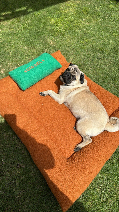 Dog Beds