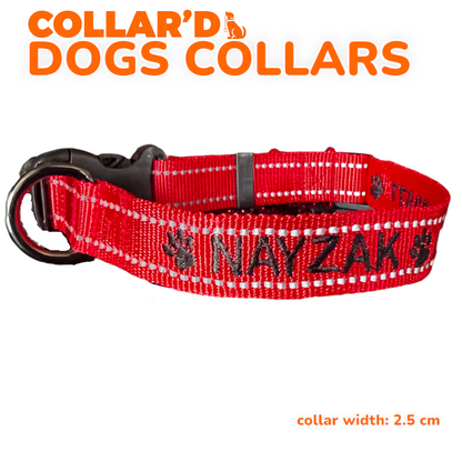 DOGS COLLARS WITH REFLECTIVE BORDERS