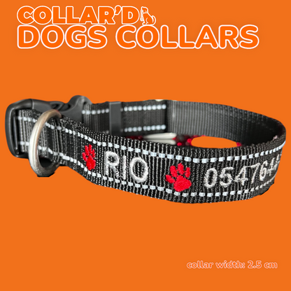 DOGS COLLARS WITH REFLECTIVE BORDERS