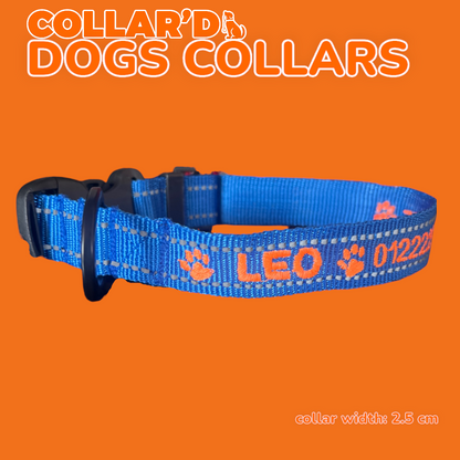 DOGS COLLARS WITH REFLECTIVE BORDERS