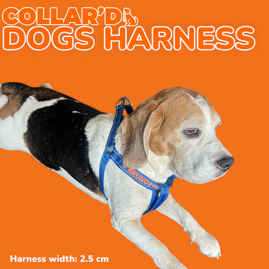 EMBROIDERED PERSONALIZED DOGS DOUBLE RINGS-HARNESS - 2.5 CM WIDTH
