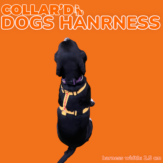 EMBROIDERED PERSONALIZED DOGS Y-HARNESS
