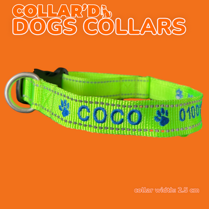 DOGS COLLARS WITH REFLECTIVE BORDERS