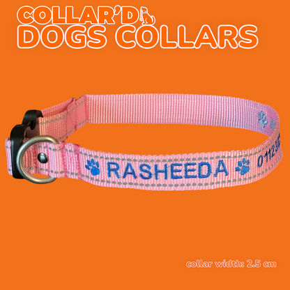 DOGS COLLARS WITH REFLECTIVE BORDERS