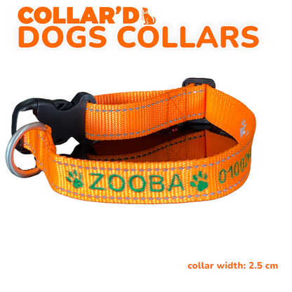DOGS COLLARS WITH REFLECTIVE BORDERS
