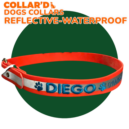 REFLECTIVE WATERPROOF COLLARS 2.5 CM WIDTH - MEDIUM TO LARGE DOGS