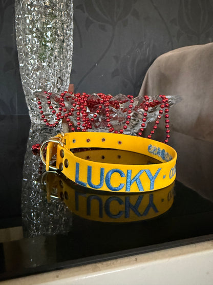 Waterproof Dog Collar
