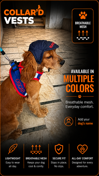 Dog Vests