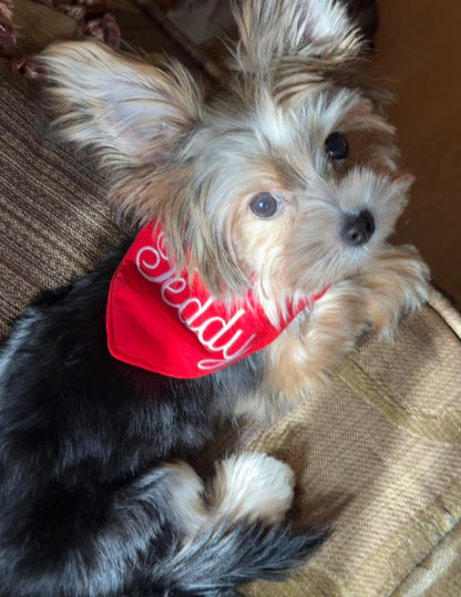Dog Bandannas