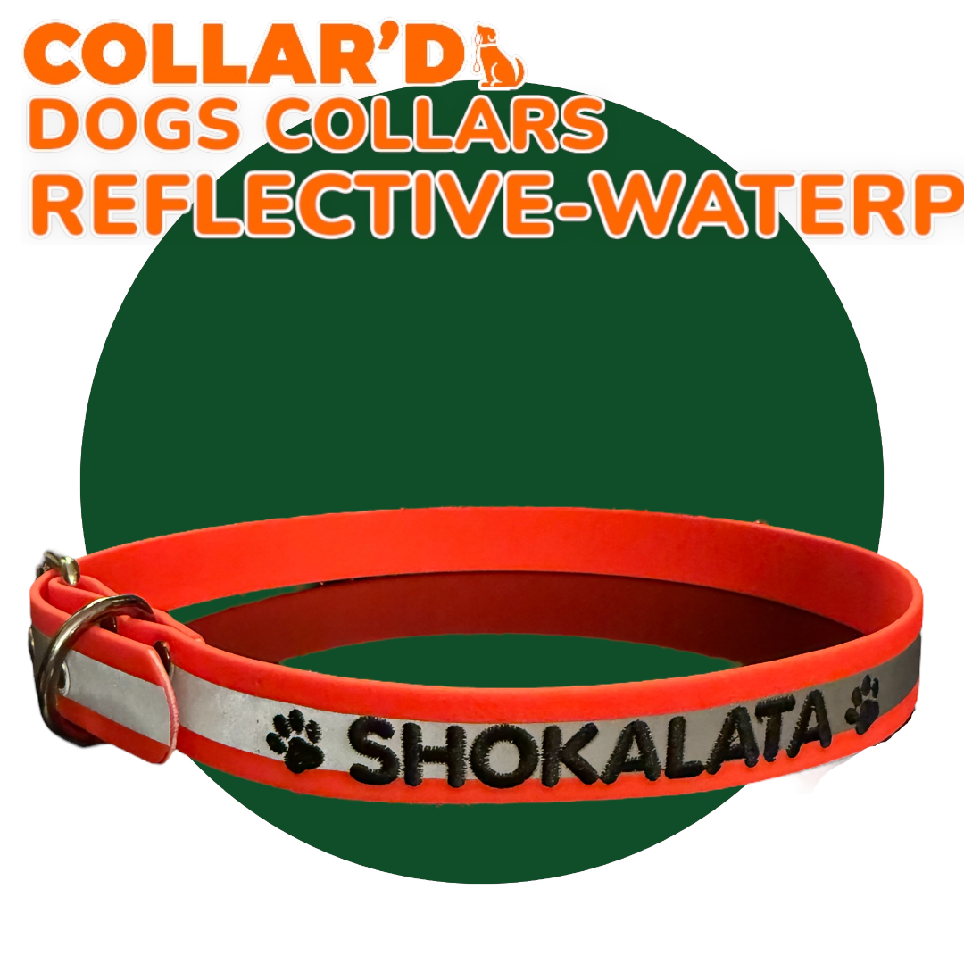 REFLECTIVE WATERPROOF COLLARS 2.5 CM WIDTH - MEDIUM TO LARGE DOGS