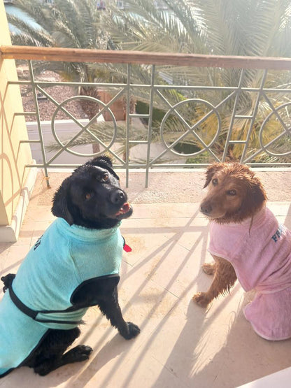 Dog Bornos