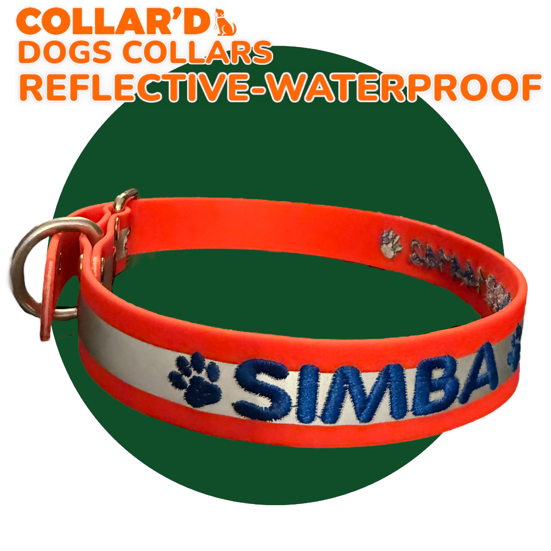 REFLECTIVE WATERPROOF COLLARS 2.5 CM WIDTH - MEDIUM TO LARGE DOGS