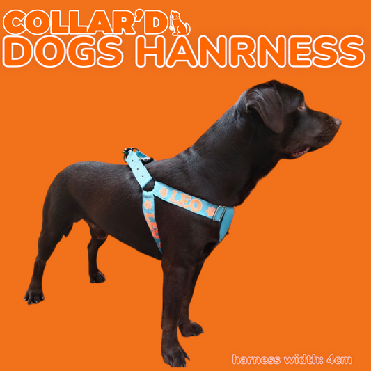 EMBROIDERED PERSONALIZED DOGS HARNESS - 4 CM WIDTH