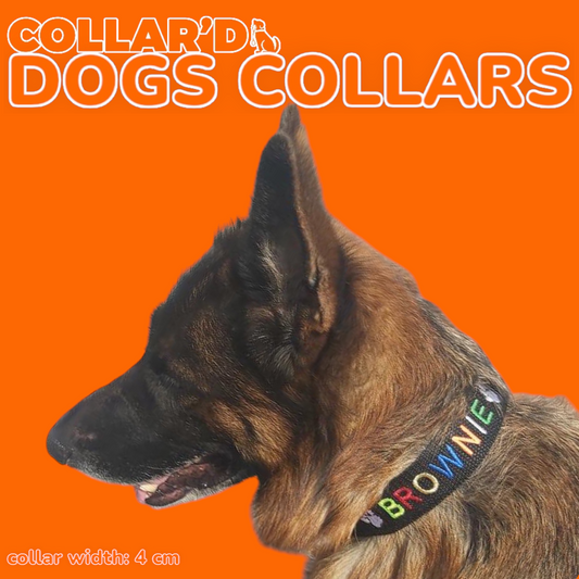EMBROIDERED PERSONALIZED DOGS COLLARS - 4 CM WIDTH. - PLAIN