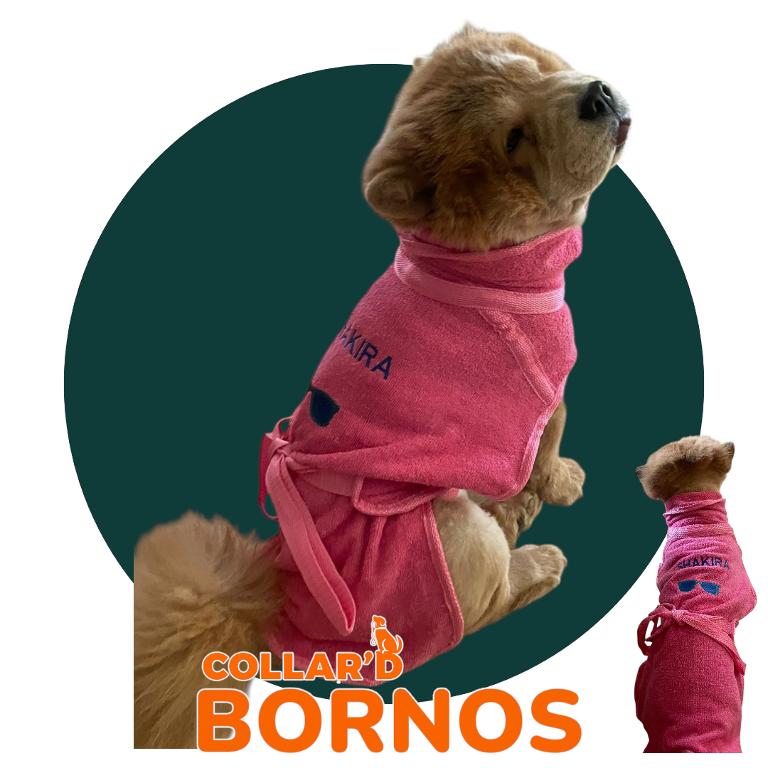 Dog Bornos