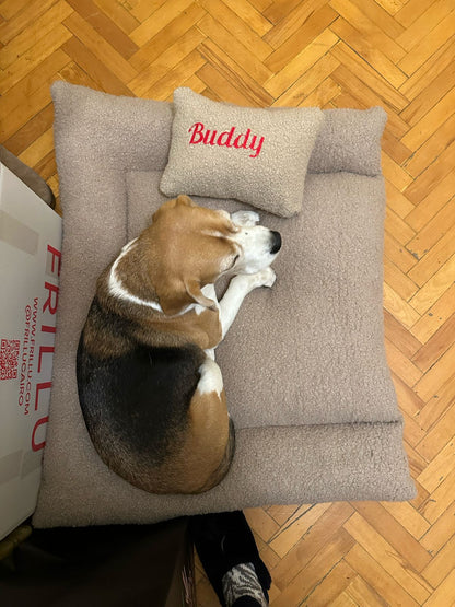 Dog Beds