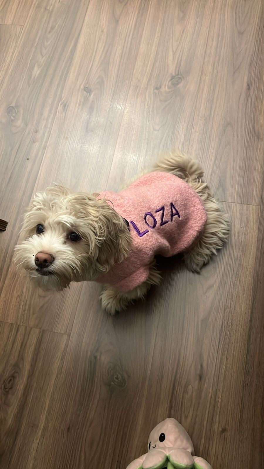 Dog Pullovers