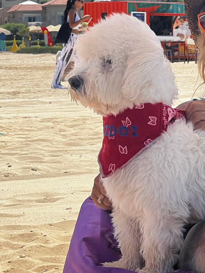 Dog Bandannas