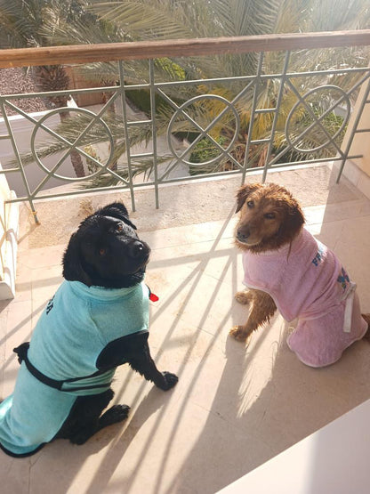 Dog Bornos