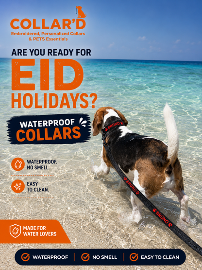 Waterproof Dog Collar