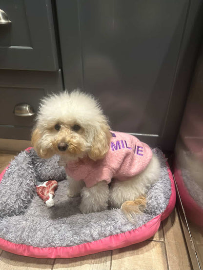 Dog Pullovers