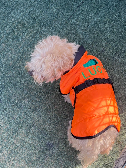 Dog Jumpers