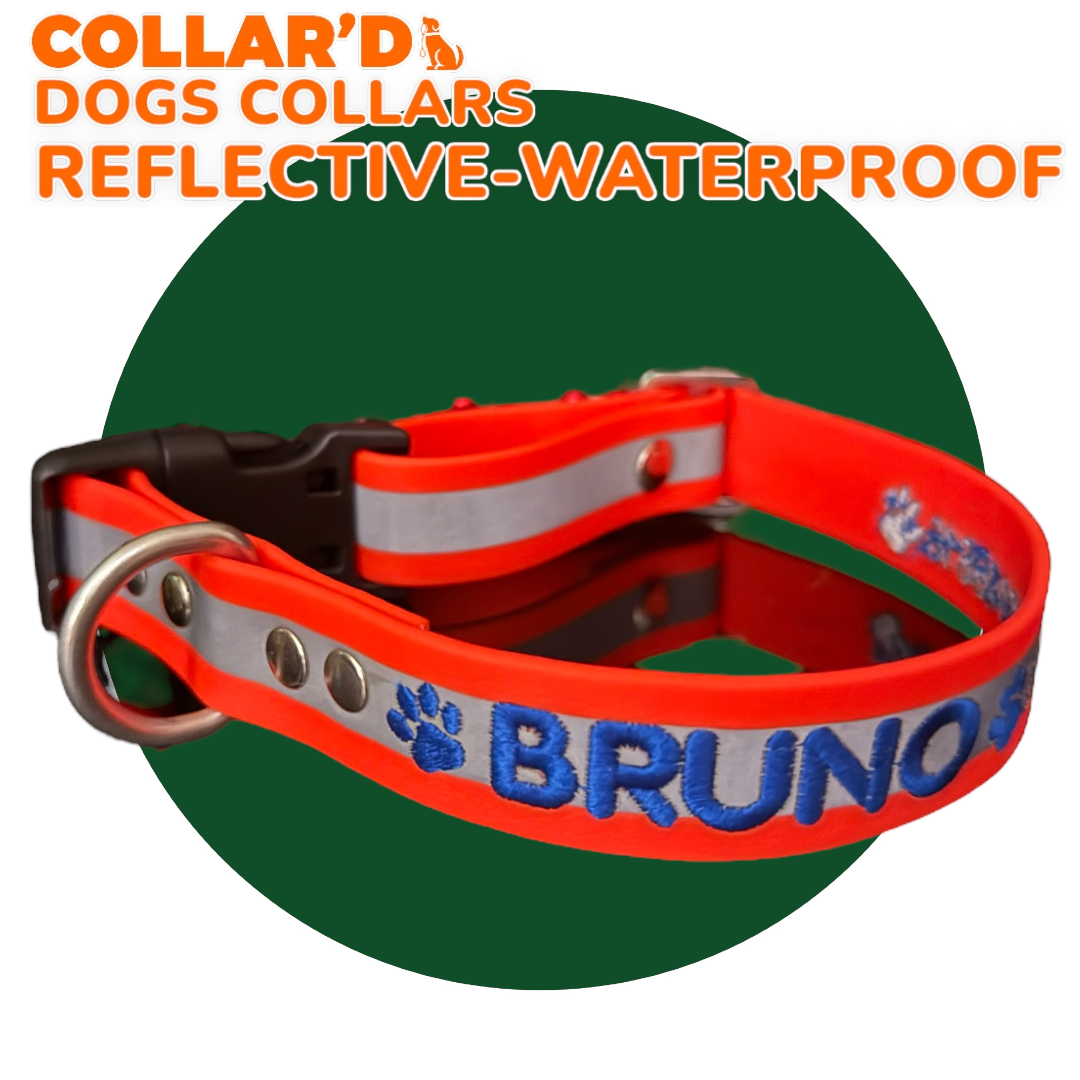 REFLECTIVE WATERPROOF COLLARS 2.5 CM WIDTH - MEDIUM TO LARGE DOGS